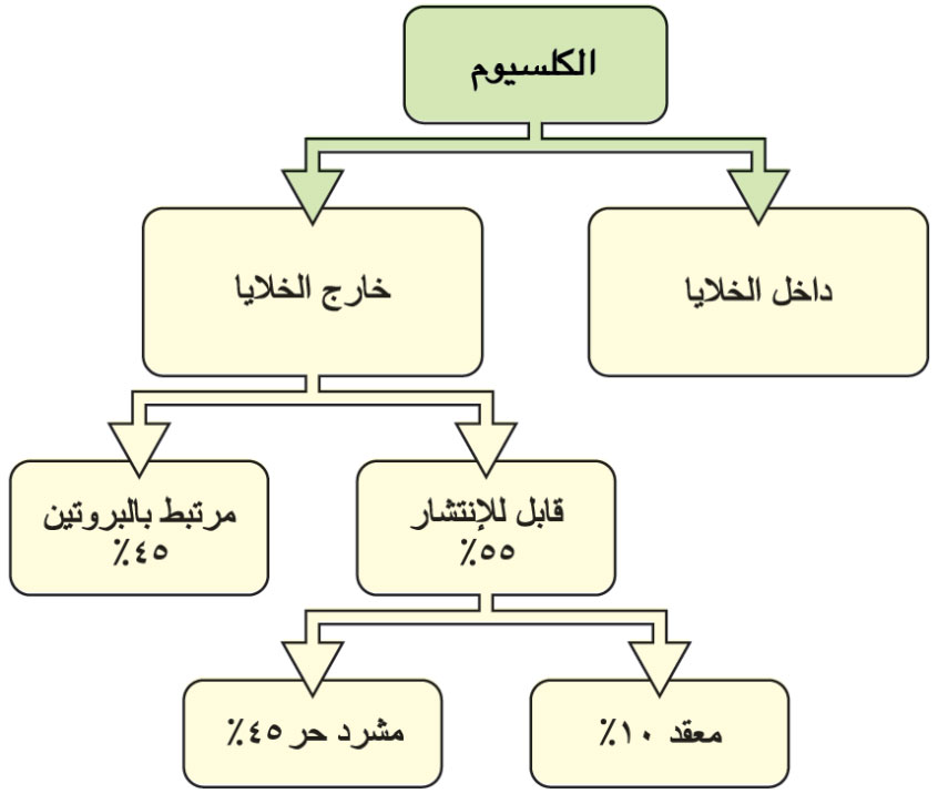 الوصف: D:\d\طبية\المجلد التاسع للأخراج\صور\416\1.jpg