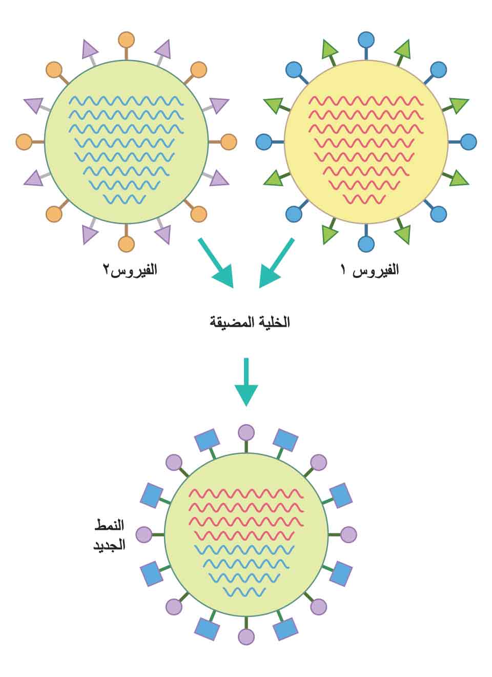 'DH5A: D:\d\7(J)\'DE,D/ 14'Dhttps://mail.arab-ency.com.sy/medical/details/643/14#E1'6 'D.E,J)\643\1.jpg