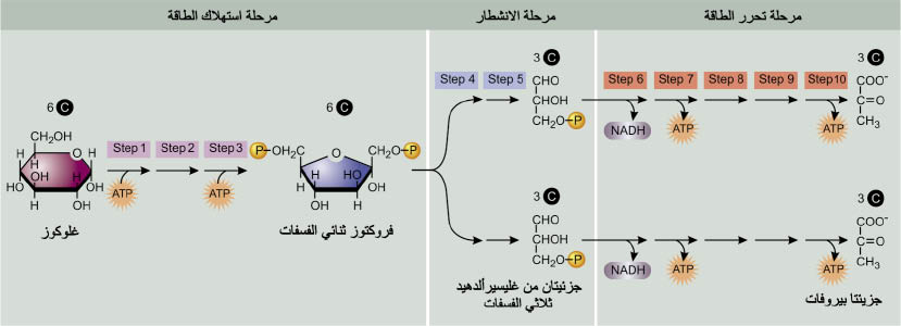 الوصف: D:\d\المجلد الثاني للتقانة اخراج\بوك 2 تقانة\213\35-2_opt.jpeg