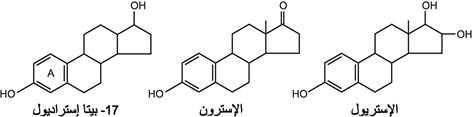 الوصف: 16-3.psd