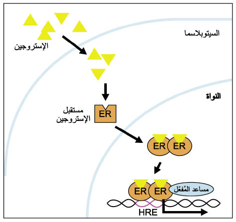 الوصف: 16-7.psd