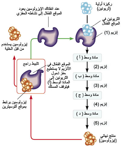 الوصف: الوصف: 32-4.psd