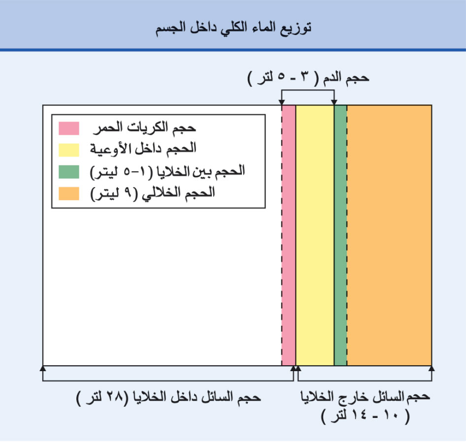 الوصف: الوصف: الوصف: D:\d\طبية\المجلد التاسع للأخراج\صور\413\2.jpg