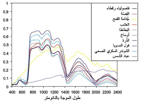 الوصف: 20-5.psd