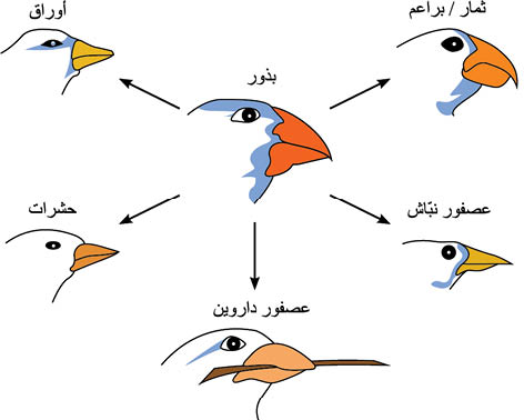 الوصف: C:\Users\khuzama\Desktop\من يوسف تقانة 9 ايلول مشغول نهائي\المجلد 9 تقانة اخراج تدقيق وتصحيح ايلول\المجلد 9مصحح نهائي ق1+ 2 تم تنزيله على الموقع\من يوسف تقانة 9 ايلول مشغول نهائي\المجلد 9 تقانة اخراج تدقيق وتصحيح ايلول\المجلد 9مصحح نهائي ق1+ 2 تم تنزيله على الموقع\1328\1328-7.jpg