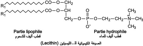 الوصف: D:\d\المجلد الثاني للتقانة اخراج\بوك 2 تقانة\325\36-1_fmt.jpeg