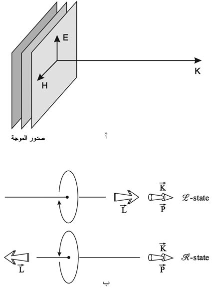 الوصف: الوصف: الوصف: 29-1.psd