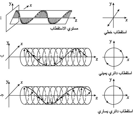 الوصف: الوصف: الوصف: 29-2.psd
