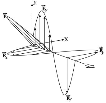 الوصف: الوصف: الوصف: 29-3.psd