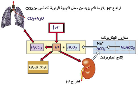 الوصف: الوصف: 10-6.psd