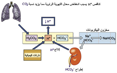 الوصف: الوصف: 10-7.psd