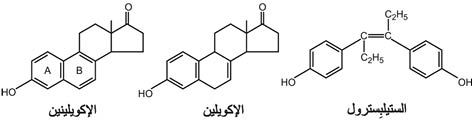 الوصف: 16-4.psd