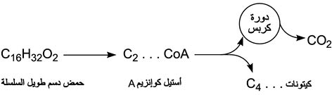 الوصف: D:\d\المجلد الثاني للتقانة اخراج\بوك 2 تقانة\43\34-4_fmt.jpeg