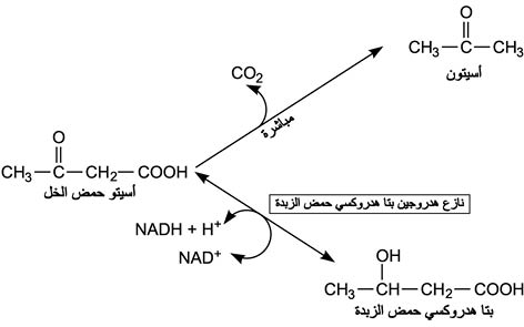 الوصف: D:\d\المجلد الثاني للتقانة اخراج\بوك 2 تقانة\43\34-5_fmt.jpeg