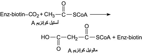 الوصف: D:\d\المجلد الثاني للتقانة اخراج\بوك 2 تقانة\43\34-7_fmt.jpeg