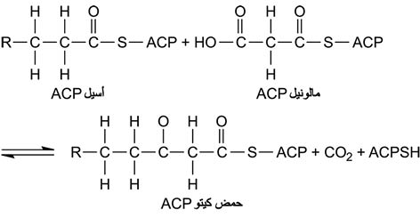 الوصف: D:\d\المجلد الثاني للتقانة اخراج\بوك 2 تقانة\43\34-8_fmt.jpeg