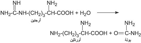 الوصف: 4-11.psd