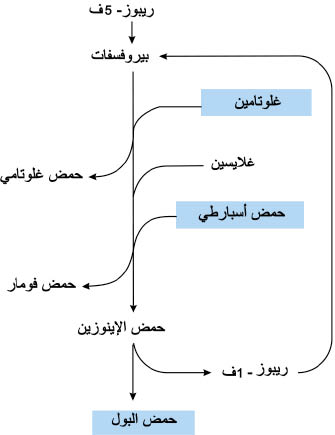 الوصف: 4-12.psd