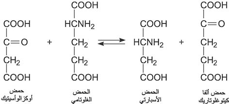 الوصف: 4-9.psd