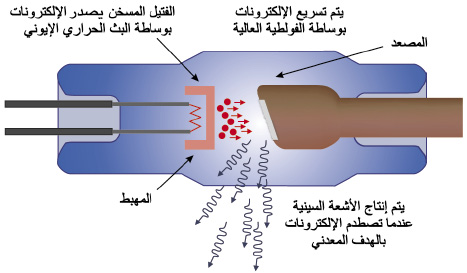 الوصف: الوصف: 75-1.psd