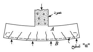 الوصف: 5-5.psd